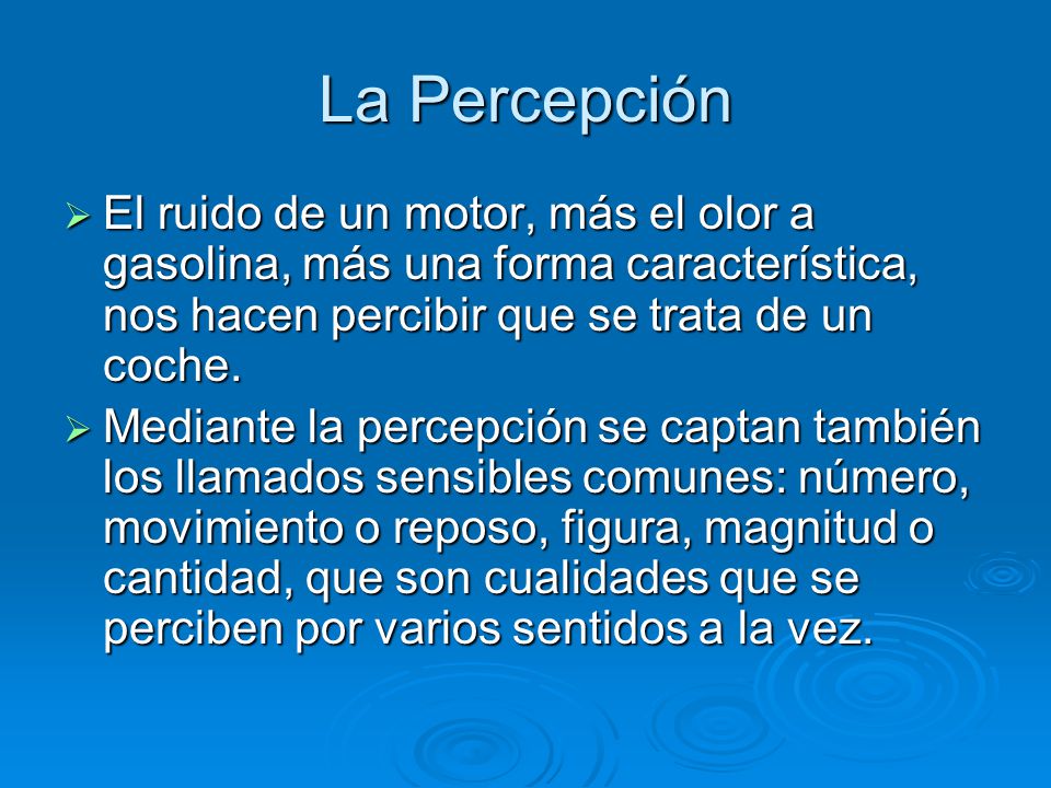 La responsabilidad pecuniaria completa del conductor por la gasolina